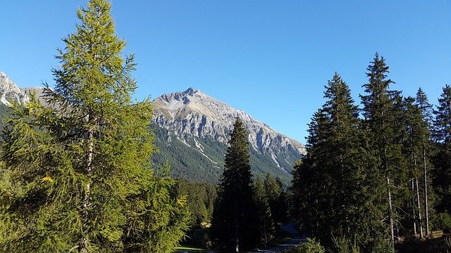 Free download Mountain Alpine View Pine Trees -  free photo or picture to be edited with GIMP online image editor