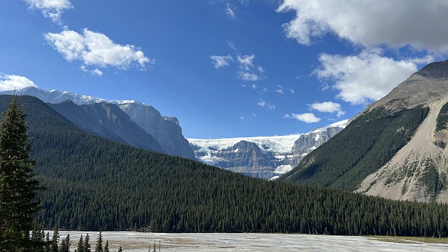 Free download mountain glacier trees forest ice free picture to be edited with GIMP free online image editor