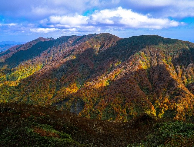 Free download Mountain Landscape Autumnal Leaves -  free photo or picture to be edited with GIMP online image editor