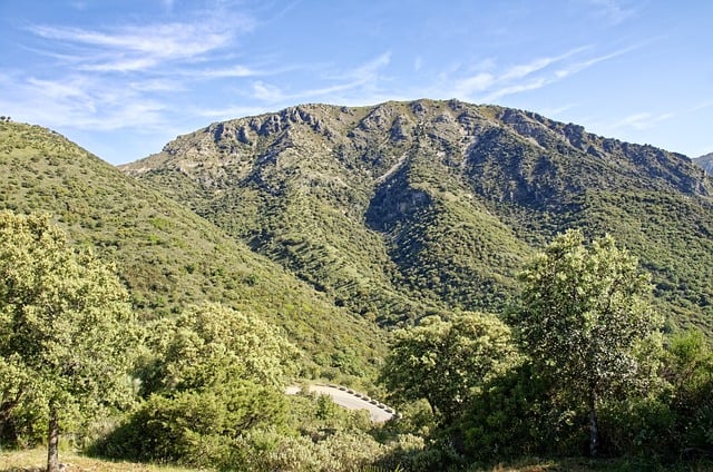 Free download mountain nature landscape trees free picture to be edited with GIMP free online image editor