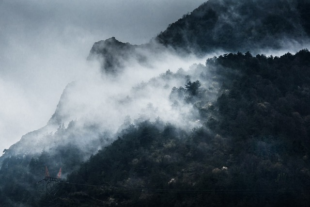 Free download mountains fog trees forest haze free picture to be edited with GIMP free online image editor