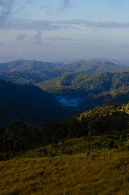 Free download mountains grass pine ridge scenery free picture to be edited with GIMP free online image editor