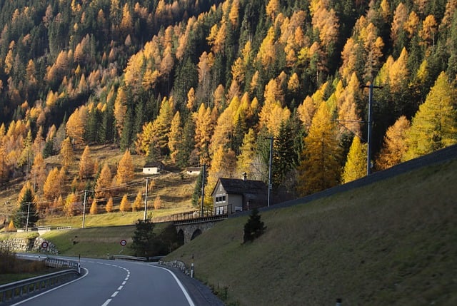 Free download mountains highway coniferous forest free picture to be edited with GIMP free online image editor