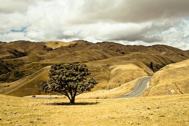 Free download mountains hill road tree cloudy free picture to be edited with GIMP free online image editor