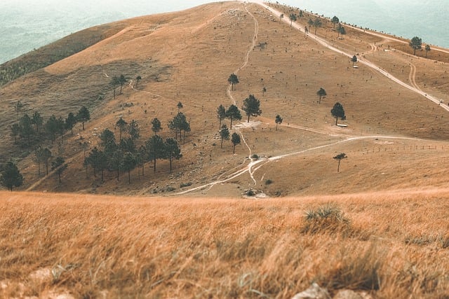 Free download mountains hill rocks grass forest free picture to be edited with GIMP free online image editor