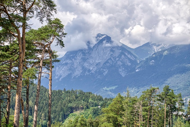 Free download mountains nature landscape trees free picture to be edited with GIMP free online image editor