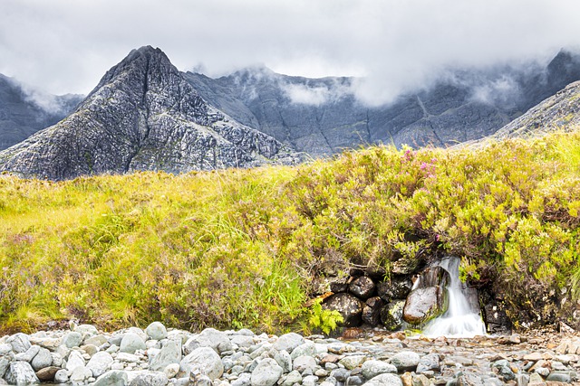 Free download mountains shrubs waterfall stream free picture to be edited with GIMP free online image editor