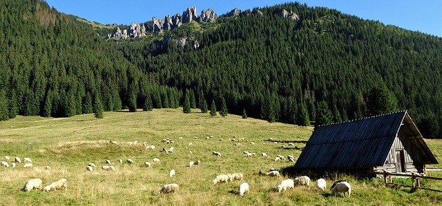 Free download Mountains Tatry Landscape -  free illustration to be edited with GIMP free online image editor