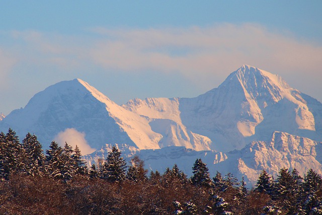 Free download mountains trees snow winter alps free picture to be edited with GIMP free online image editor