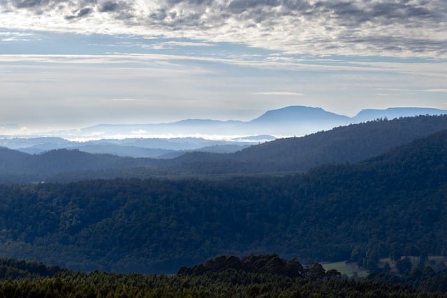 Free download mountain sunrise fog trees free picture to be edited with GIMP free online image editor