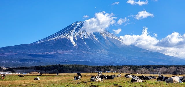 Free download mount fuji japan landscape travel free picture to be edited with GIMP free online image editor