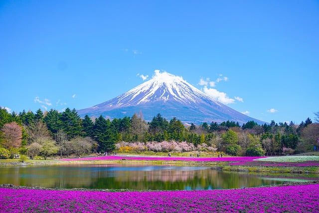 Free download mount fuji lake mountain park free picture to be edited with GIMP free online image editor