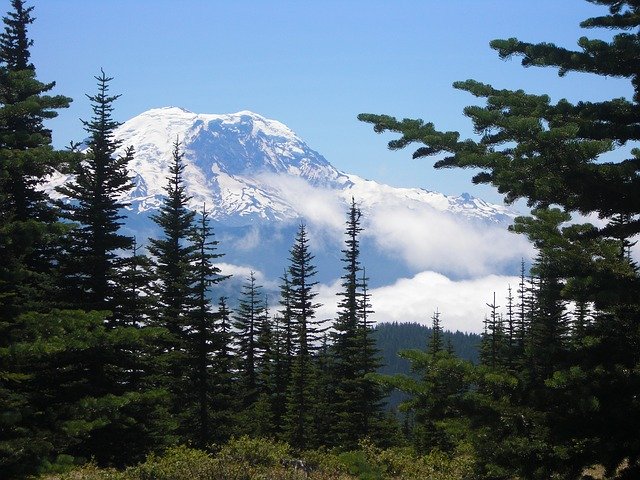 Free download Mount Rainier Mountain -  free photo or picture to be edited with GIMP online image editor