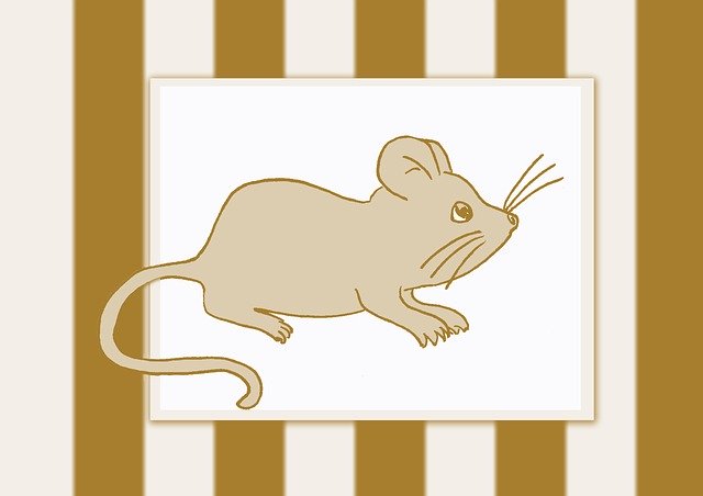 Free download Mouse Animal Nager -  free illustration to be edited with GIMP free online image editor