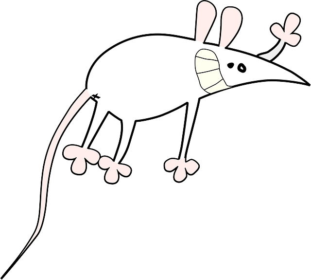 Free download Mouse Small Rodent - Free vector graphic on Pixabay free illustration to be edited with GIMP free online image editor