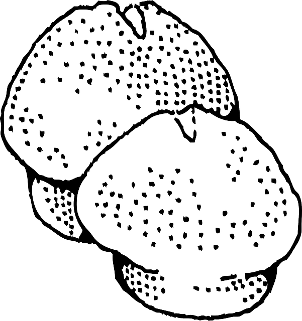 Téléchargement gratuit Muffin Coupe Gâteau - Images vectorielles gratuites sur Pixabay illustration gratuite à modifier avec GIMP éditeur d'images en ligne gratuit