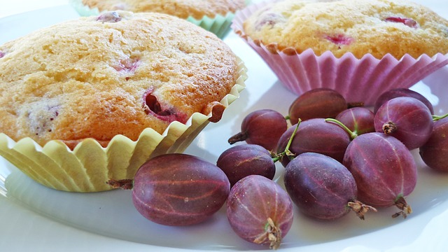 Free download muffins gooseberry pink to bake free picture to be edited with GIMP free online image editor