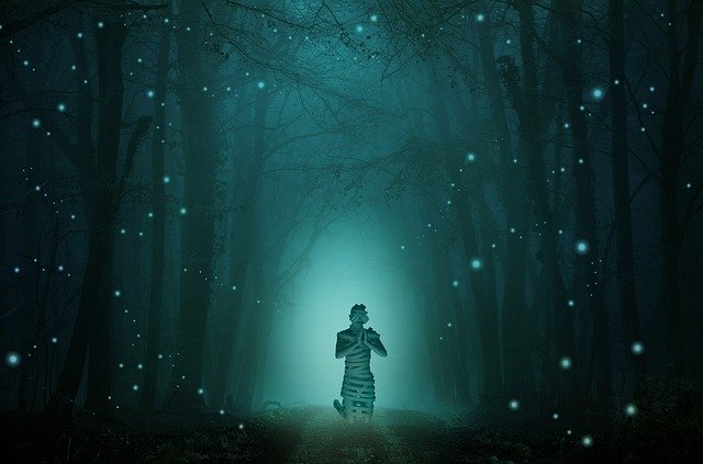 Free download Mummy Forest Fireflies Not -  free illustration to be edited with GIMP free online image editor