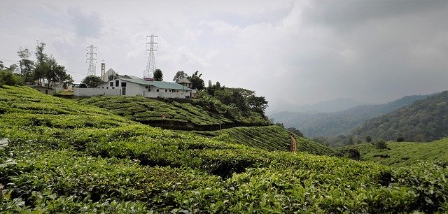 Free download Munnar Kerala In -  free photo or picture to be edited with GIMP online image editor