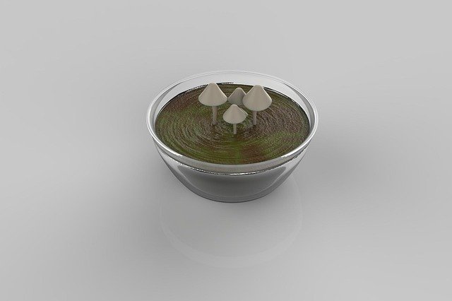 Free download Mushroom 3D Bowl -  free illustration to be edited with GIMP free online image editor