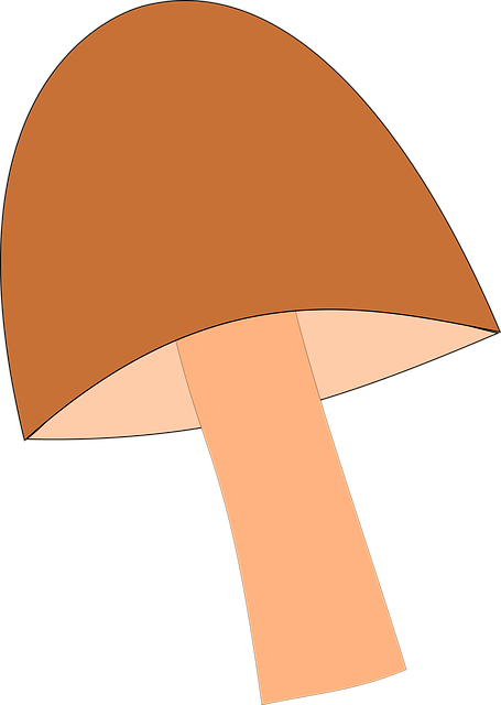 Free download Mushroom Forest Autumn - Free vector graphic on Pixabay free illustration to be edited with GIMP free online image editor