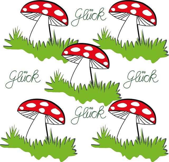 Free download Mushroom Luck Fly Agaric Lucky -  free illustration to be edited with GIMP free online image editor