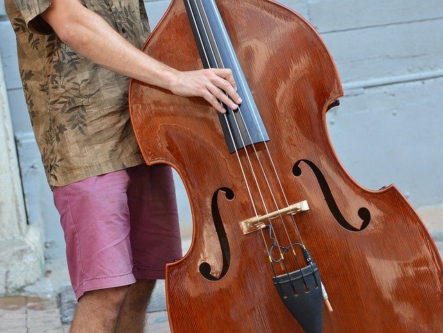 Free download Musician Double Bass Instrument -  free photo or picture to be edited with GIMP online image editor