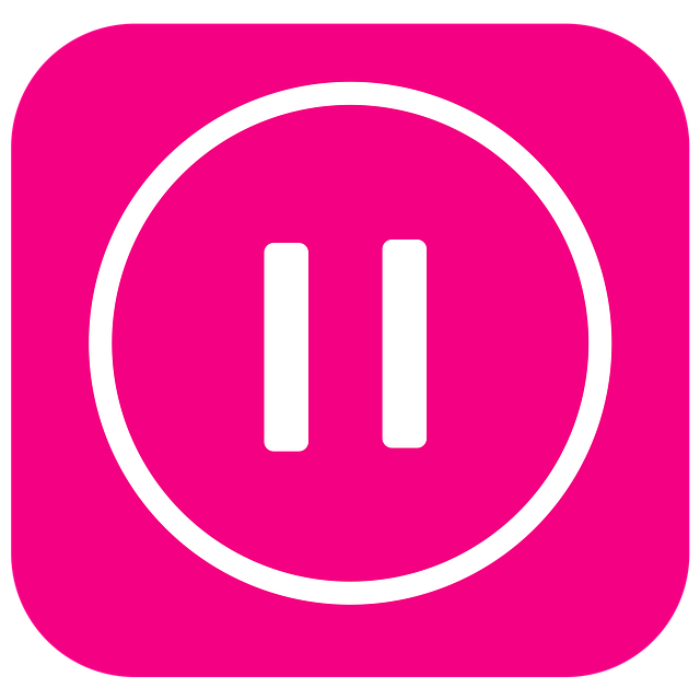 Free download Music Pause Icon Launcher -  free illustration to be edited with GIMP free online image editor