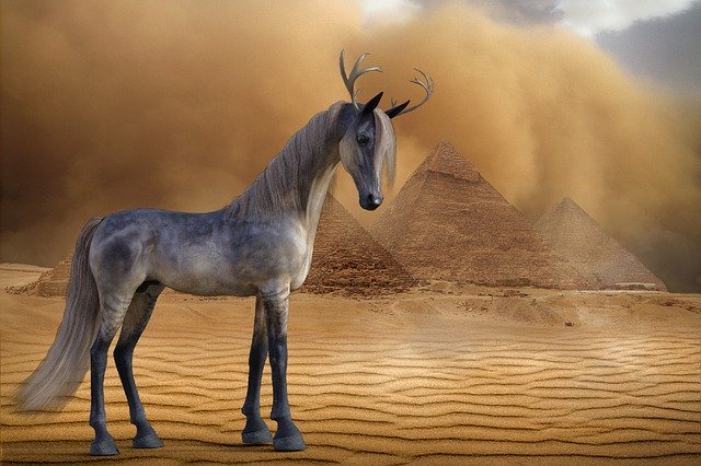 ดาวน์โหลดฟรี Myth Horse Desert - ภาพประกอบฟรีเพื่อแก้ไขด้วยโปรแกรมแก้ไขรูปภาพออนไลน์ GIMP ฟรี