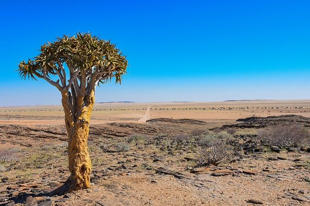 Free download Namibia Africa Desert -  free photo or picture to be edited with GIMP online image editor