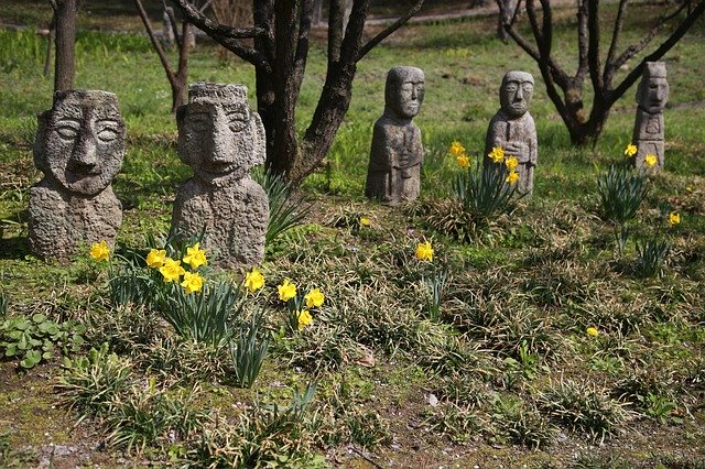 Free download Narcissus Spring Plants -  free photo or picture to be edited with GIMP online image editor