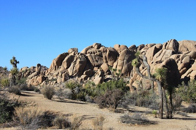 Free download National Park California Desert -  free photo or picture to be edited with GIMP online image editor