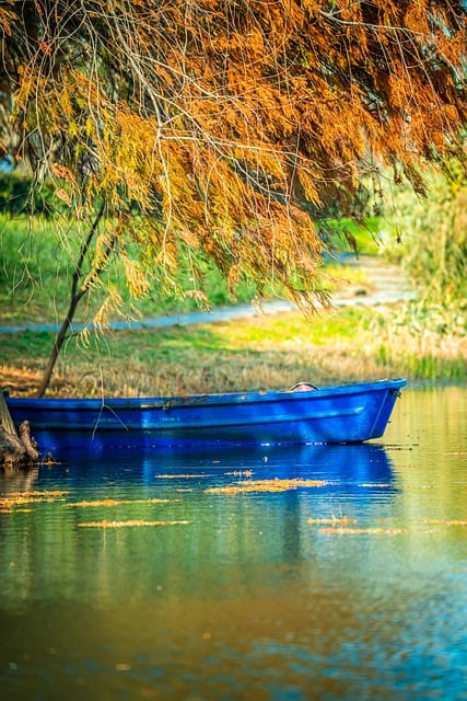 Free download natural tree boat blue peaceful free picture to be edited with GIMP free online image editor