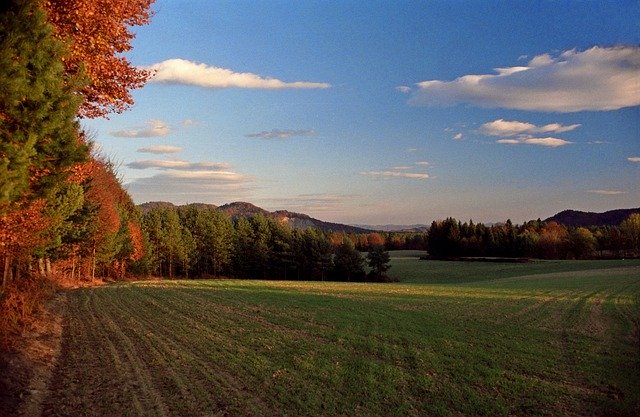 Free download Nature Autumn Field -  free photo or picture to be edited with GIMP online image editor