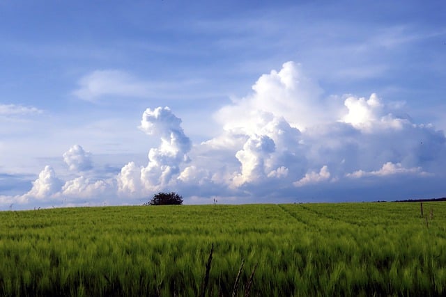 Free download nature background field clouds free picture to be edited with GIMP free online image editor