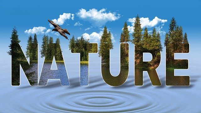 Free download Nature Background Image Landscape -  free illustration to be edited with GIMP free online image editor