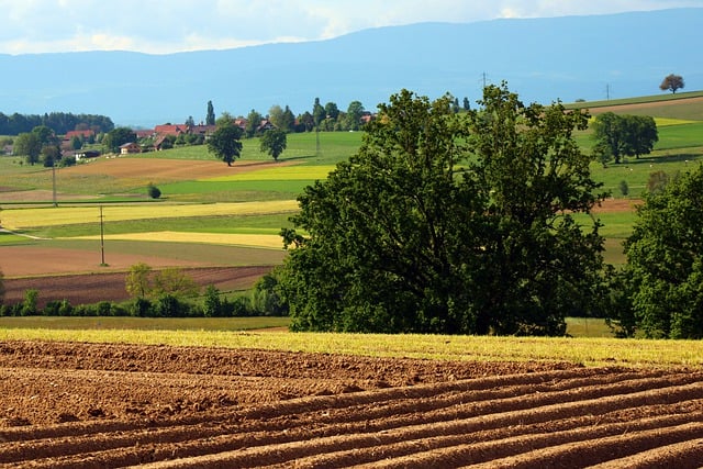 Free download nature background landscape fields free picture to be edited with GIMP free online image editor