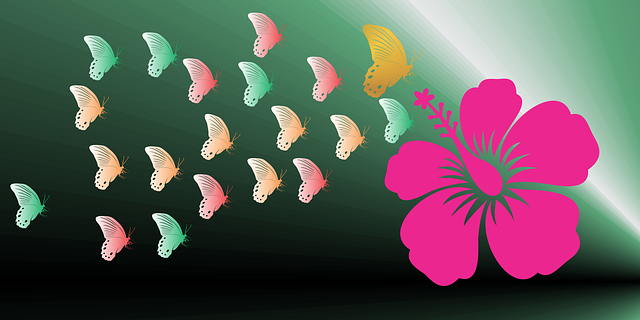 Free download Nature Blooming Flower Butterfly -  free illustration to be edited with GIMP free online image editor