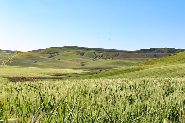 Free download nature field rural outdoors travel free picture to be edited with GIMP free online image editor