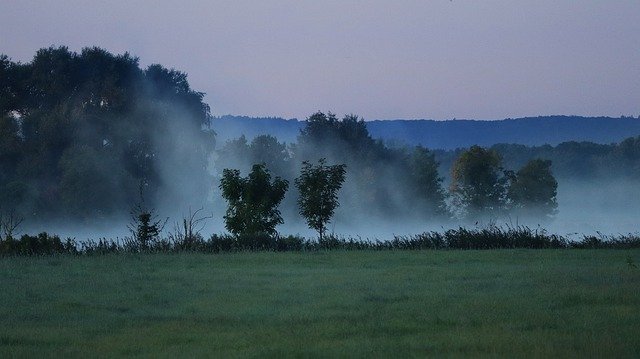 Free download Nature Fog Landscape -  free photo or picture to be edited with GIMP online image editor