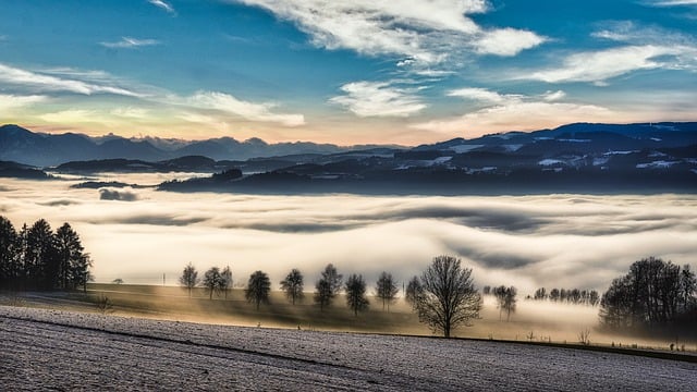 Free download nature fog trees wilderness free picture to be edited with GIMP free online image editor