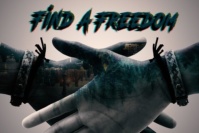 Free download Nature Freedom -  free illustration to be edited with GIMP free online image editor