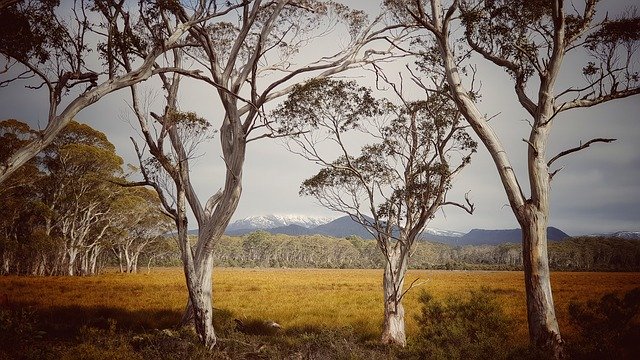 Muat turun percuma Nature Landscape Australia - foto atau gambar percuma untuk diedit dengan editor imej dalam talian GIMP