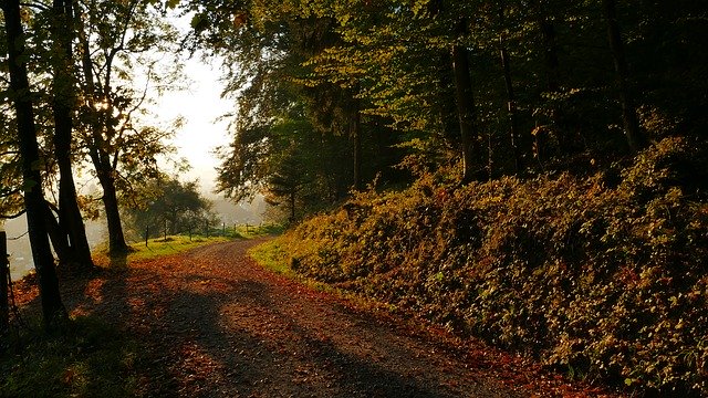 Free download Nature Landscape Autumn -  free free photo or picture to be edited with GIMP online image editor