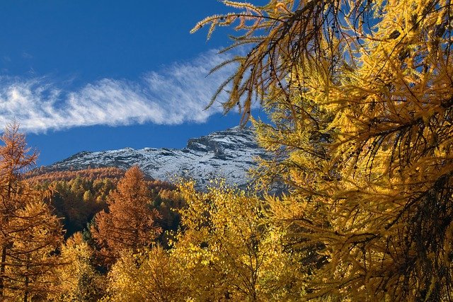 Free download nature mountain alps autumn season free picture to be edited with GIMP free online image editor