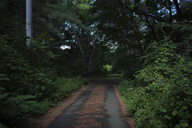 Free download Nature Ominous Outdoors -  free photo or picture to be edited with GIMP online image editor