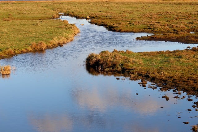 Kostenloser Download Naturschutzgebiet Wiese Natur kostenloses Bild zur Bearbeitung mit GIMP kostenloser Online-Bildeditor