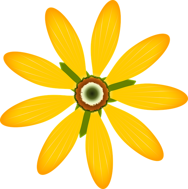 Free download Nature Yellow Flower Blossom -  free illustration to be edited with GIMP free online image editor