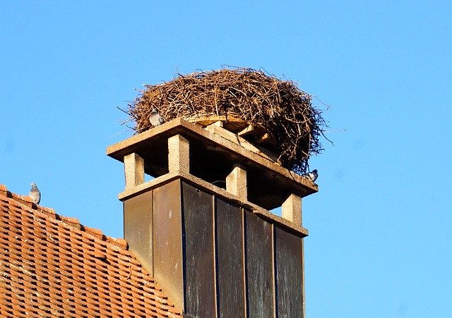 Free download Nest Storks Storchennest Rattle -  free photo or picture to be edited with GIMP online image editor