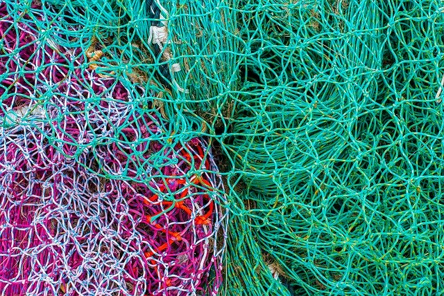 Free download Net Fishing Color -  free photo or picture to be edited with GIMP online image editor